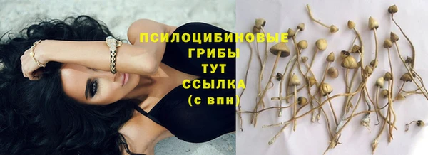 соль курить ск Пестово