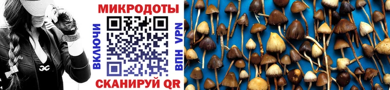 купить наркоту  Нерчинск  Галлюциногенные грибы Magic Shrooms 